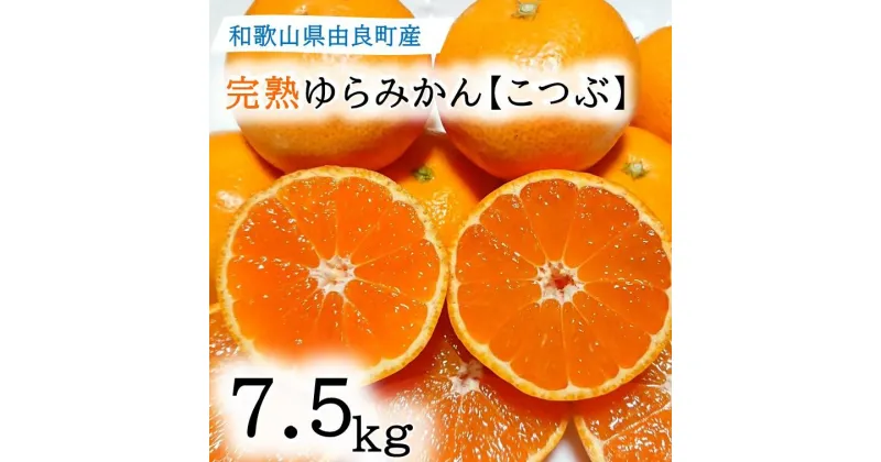 【ふるさと納税】★薄皮で濃い甘さ！完熟由良みかん【こつぶ】7.5kg×1箱（2Sサイズ）和歌山県由良産 | みかん 和歌山 完熟 薄皮 濃厚 甘い 小玉 こつぶ 2S 7.5kg 和歌山県 由良町 柑橘 くだもの 果物 フルーツ 故郷 ふるさと納税