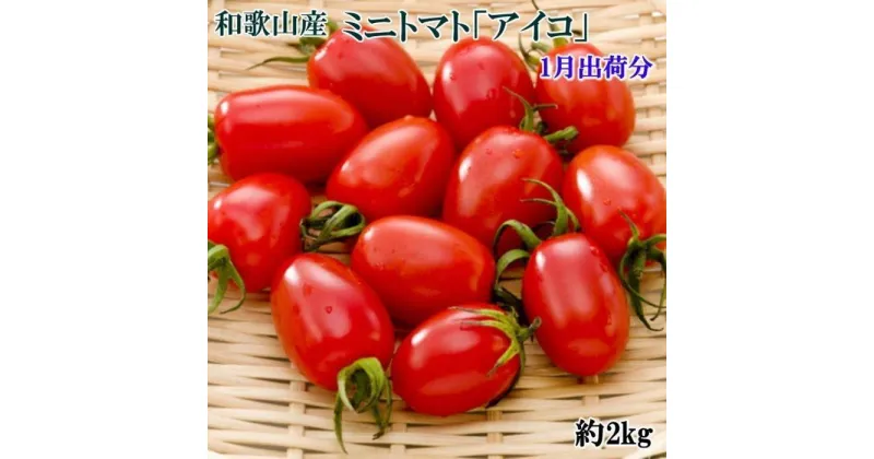 【ふるさと納税】【1月出荷分】和歌山産ミニトマト「アイコトマト」約2kg（S・Mサイズおまかせ）【TM109】 | 和歌山 由良 和歌山県 由良町 和歌山県由良町 楽天ふるさと 納税 取り寄せ お取り寄せ グルメ お取り寄せグルメ ご当地 ご当地グルメ ミニ トマト ミニトマト 野菜