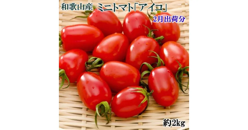 【ふるさと納税】【2月出荷分】ミニトマト「アイコトマト」約2kg（S・Mサイズおまかせ）【TM110】 | 和歌山 由良 和歌山県 由良町 和歌山県由良町 楽天ふるさと 納税 取り寄せ お取り寄せ グルメ お取り寄せグルメ ご当地 ご当地グルメ ミニ トマト ミニトマト 野菜