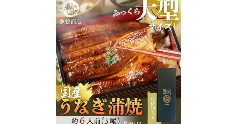 【ふるさと納税】大型サイズふっくら柔らか 国産うなぎ蒲焼き 3尾 | 鰻 うなぎ 蒲焼き 3尾 たれ付 海鮮 大きいサイズ 大きい スタミナ 食品 冷凍 海産物おすすめ 和歌山県 由良町 送料無料