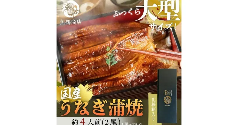 【ふるさと納税】大型サイズふっくら柔らか 国産うなぎ蒲焼き 2尾 | 鰻 うなぎ 蒲焼き 2尾 たれ付 海鮮 大きいサイズ 大きい スタミナ 食品 冷凍 海産物おすすめ 和歌山県 由良町 送料無料