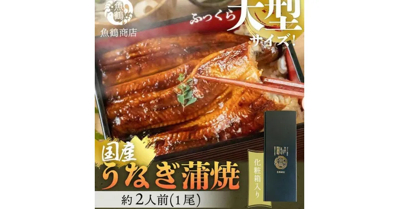 【ふるさと納税】大型サイズふっくら柔らか国産うなぎ蒲焼き 約2人前【化粧箱入】 | 鰻 うなぎ 蒲焼き たれ付 海鮮 大きいサイズ 大きい スタミナ 化粧箱 食品 冷凍 海産物おすすめ 和歌山県 由良町 送料無料