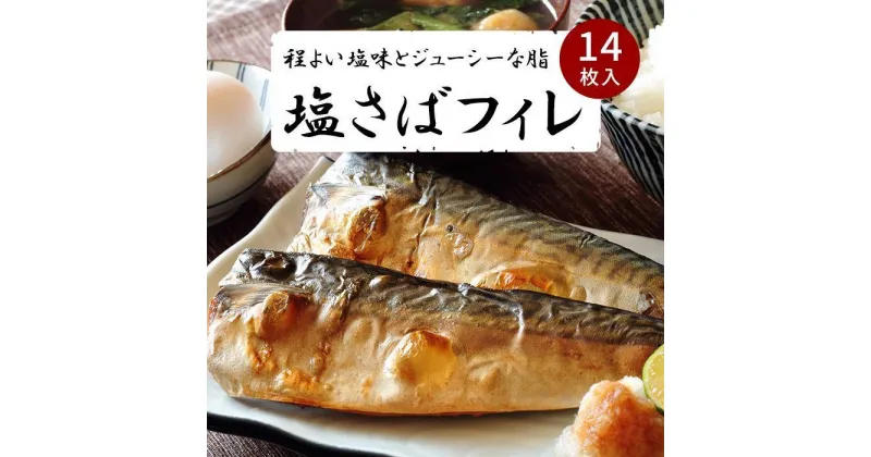 【ふるさと納税】塩さばフィレ14枚入（真空パック入） | 楽天ふるさと 納税 和歌山県 和歌山 由良町 湯浅町 支援品 返礼品 特産品 名産品 塩サバ 塩さば 鯖 サバ さば 魚 切り身 冷凍 冷凍食品 焼き魚 煮魚 真空パック 魚介類 魚介 海産物おすすめ おかず しお鯖 焼き鯖