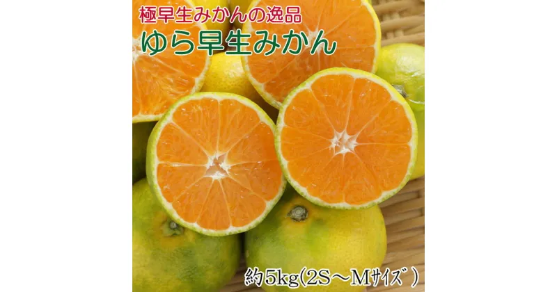 【ふるさと納税】【極早生みかんの逸品】有田産ゆら早生みかん約5kg★2024年10月中旬頃より順次発送【TM58】 | みかん 早生 ゆら早生 由良早生 極早生 早い 小玉 こつぶ 甘い 濃厚 秀品 先行予約 期間限定 5kg サイズおまかせ サイズ混合 和歌山県 由良町