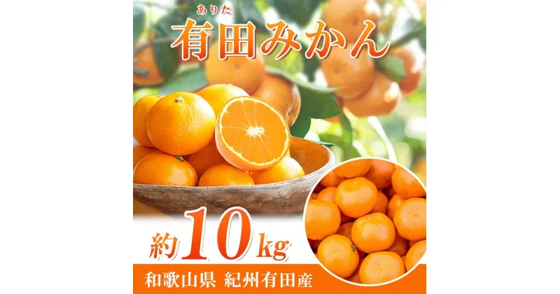 【ふるさと納税】完熟有田みかん　10kg【先行予約】【UT11】 | 楽天ふるさと 納税 和歌山 湯浅町 支援品 返礼品 特産品 名産品 ミカン みかん 10kg 果物 くだもの フルーツ 有田みかん 産地直送 常温 食べ物 お取り寄せ 有田ミカン