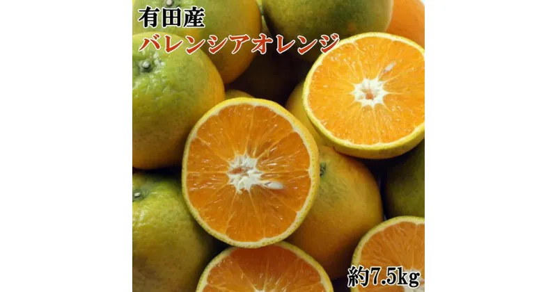 【ふるさと納税】【爽快】有田産バレンシアオレンジ 約7.5kg（M～2Lサイズおまかせ）★2025年6月中旬より順次発送予定