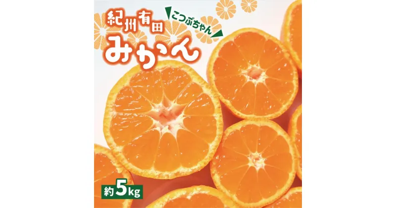 【ふるさと納税】紀州有田みかん 　こつぶちゃん　約5kg　 | みかん 有田 こつぶ 和歌山 柑橘 フルーツ 果物 くだもの 家庭用 濃厚 完熟 先行予約 期間限定 農家直送 5kg 由良町 ふるさと納税 返礼品 お礼の品