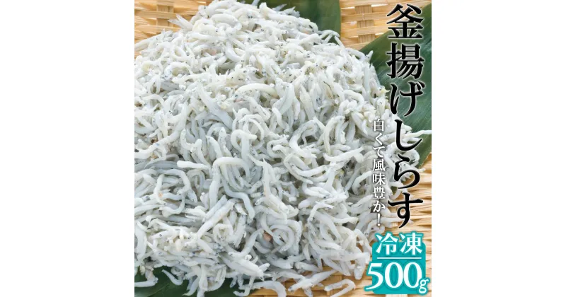 【ふるさと納税】冷凍釜揚げしらす500g | 釜揚げしらす しらす 500g シラス 取り寄せ お取り寄せグルメ 魚介類 海鮮 海産物おすすめ 冷凍 産地直送 クール便 釜揚げシラス ふるさと 納税 和歌山県 和歌山 由良町 支援品 返礼品 特産品 名産品