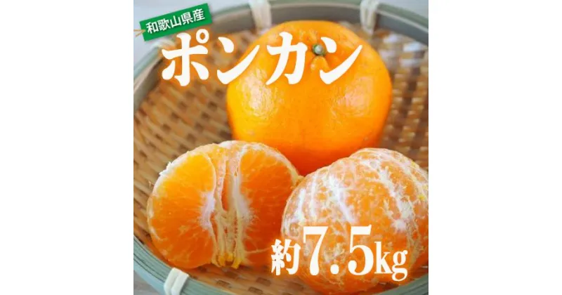 【ふるさと納税】ポンカン 約7.5kg サイズおまかせ 【北海道・沖縄・一部離島配送不可】