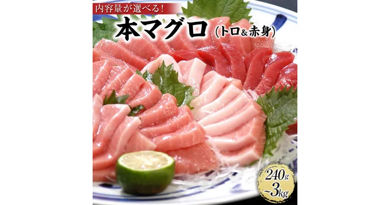 【ふるさと納税】【選べる内容量（240g・500g・1.35kg・3kg）】プレミア和歌山認証品 本マグロ（養殖）トロ＆赤身セット | マグロ 鮪 柵 刺身 本マグロ 赤身 トロ セット 240g 養殖 海産物おすすめ 特産品 和歌山 冷凍 新鮮 由良町 ふるさと納税 返礼品 送料無料