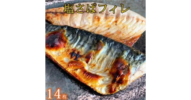 【ふるさと納税】【魚鶴商店】人気の魚の幸定期便（塩サバ・うなぎ蒲焼・鮭切身）【定期便全3回】 | 鰻 うなぎ かば焼き 蒲焼き 鯖 さば 塩サバ 塩さば 鮭 切り身 さけ しゃけ シャケ 3回お届け 食品 冷凍 海産物おすすめ 和歌山県 由良町 送料無料