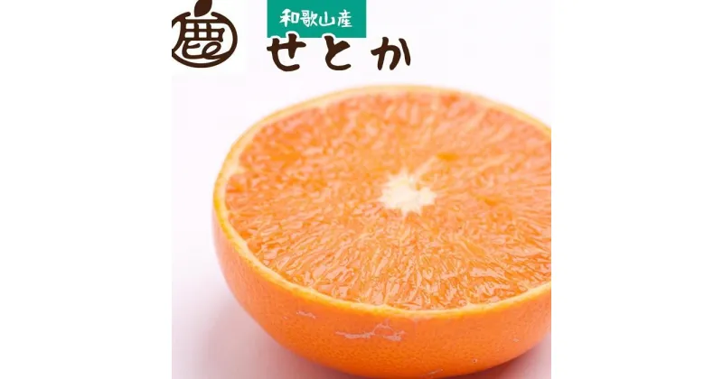 【ふるさと納税】＜2月より発送＞厳選 せとか1.5kg+45g（傷み補償分）【柑橘・春みかんの王様】【光センサー選別】 | せとか 厳選 春みかん 光センター 選果 和歌山 2.5kg 柑橘 フルーツ くだもの 和歌山県 由良町 先行予約 期間限定