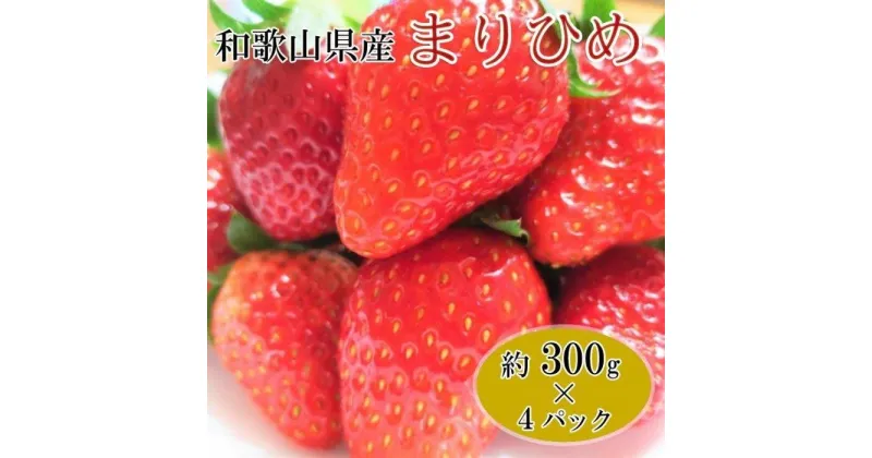 【ふるさと納税】【1月発送】和歌山県産ブランドいちご「まりひめ」約300g×4パック入り【北海道・沖縄県・離島配送不可】【御坊市産】 | いちご 苺 まりひめ 和歌山県産 300g 1.2kg 新鮮 農家直送 和歌山県 由良町 農園直送 ふるさと納税 返礼品 送料無料