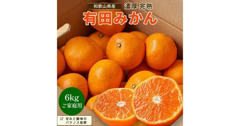 【ふるさと納税】【先行予約】有田育ちのご家庭用 完熟有田みかん6kg【2024年11月上旬より発送】【訳あり】 | みかん 有田 和歌山 柑橘 フルーツ 果物 くだもの 家庭用 濃厚 完熟 先行予約 期間限定 農家直送 5kg 由良町 ふるさと納税 返礼品 お礼の品