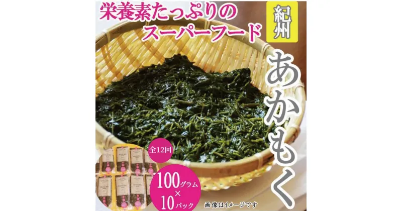 【ふるさと納税】紀州あかもく 定期便 全12回 由良町産 100g×10パック | アカモク 海藻 魚介類 水産 海産物 食品 ヘルシー 人気 おすすめ 送料無料