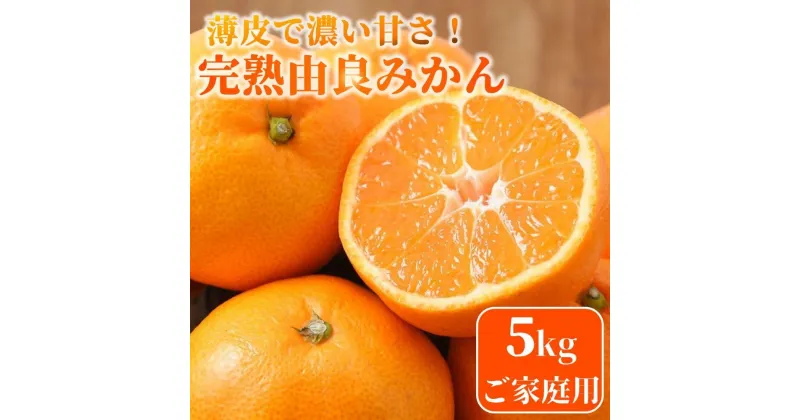 【ふるさと納税】★薄皮で濃い甘さ！完熟由良みかん【ご家庭用】5kg×1箱（混サイズ）和歌山県由良産 | みかん 和歌山 完熟 薄皮 濃厚 甘い 家庭用 サイズ混合 おまかせ 5kg 和歌山県 由良町 柑橘 くだもの 果物 フルーツ 故郷 ふるさと納税