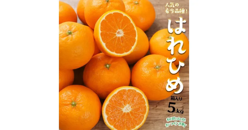 【ふるさと納税】はれひめ（ミカンの希少種） 秀品 約5kg（25個～30個入）【先行予約】【2024年12月中旬頃から発送】【KG3】 | みかん 蜜柑 フルーツ 果物 くだもの 食品 人気 おすすめ 送料無料