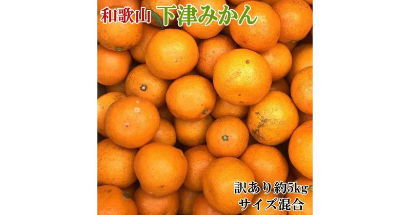 【ふるさと納税】【訳あり】和歌山下津みかん約5kgご家庭用向け(サイズ混合) ★2024年11月中旬頃より順次発送【TM77】 | フルーツ 果物 くだもの 食品 人気 おすすめ 送料無料