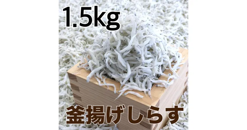 【ふるさと納税】釜揚げしらす1.5kg【DN3】 | 魚 お魚 さかな 海産物 食品 人気 おすすめ 送料無料