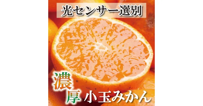 【ふるさと納税】＜11月より発送＞家庭用 小玉な有田みかん4.5kg+135g（傷み補償分）訳あり