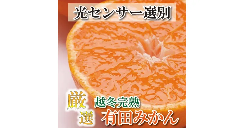 【ふるさと納税】＜1月より発送＞厳選 越冬完熟みかん2kg+60g（傷み補償分）