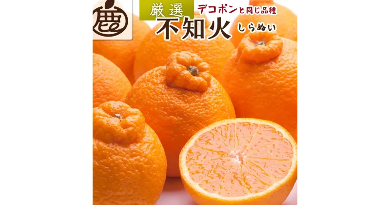 【ふるさと納税】＜2月より発送＞厳選 不知火5kg+150g（傷み補償分）【デコポンと同品種・人気の春みかん】【IKE50】 | 不知火 フルーツ 果物 くだもの 食品 人気 おすすめ 送料無料