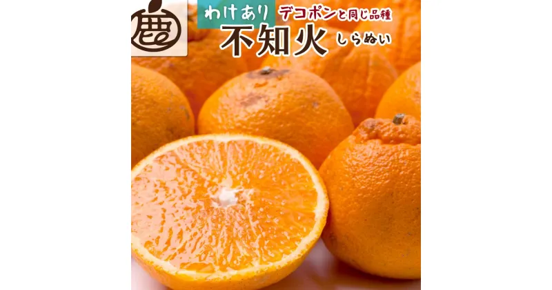 【ふるさと納税】＜4月より発送＞家庭用 不知火5kg+150g（傷み補償分）【デコポンと同品種・人気の春みかん】【光センサー食頃出荷】【わけあり・訳あり】【IKE53】 | 不知火 フルーツ 果物 くだもの 食品 人気 おすすめ 送料無料