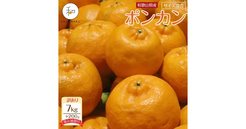 【ふるさと納税】訳あり 森本農園の手選別 ポンカン 7～10kg +200g傷み補償付 和歌山県産 サイズ混合 【北海道・沖縄・離島配送不可】【RN14】 | みかん 蜜柑 フルーツ 果物 くだもの 食品 人気 おすすめ 送料無料