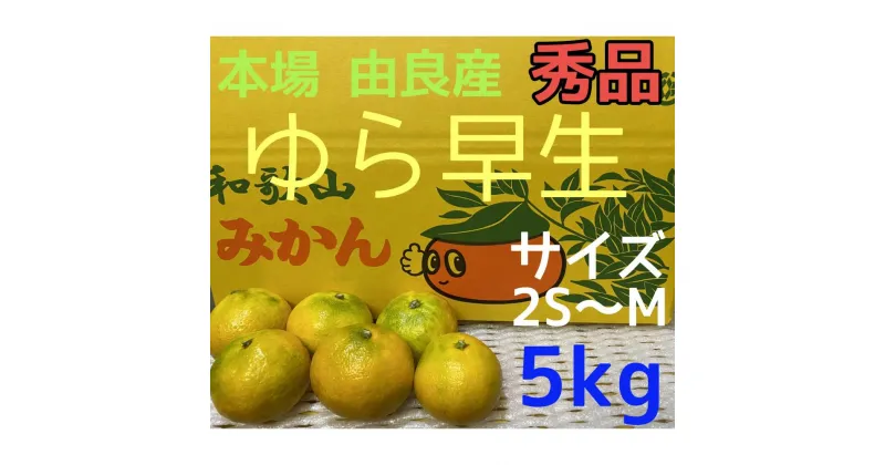 【ふるさと納税】【秀品】ゆら早生 5kg 2S~M 和歌山 由良産 | ゆら早生 柑橘 極早生 フルーツ 果物 くだもの 食品 人気 おすすめ 送料無料　