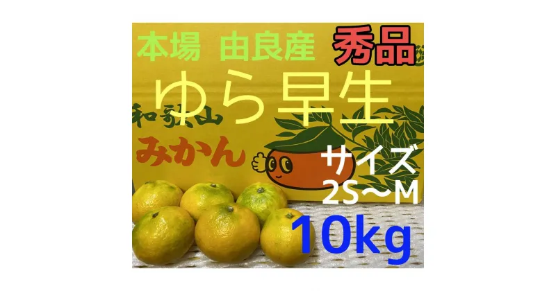 【ふるさと納税】【秀品】ゆら早生 10kg 2S~M 和歌山 由良産 | ゆら早生 柑橘 極早生 フルーツ 果物 くだもの 食品 人気 おすすめ 送料無料　