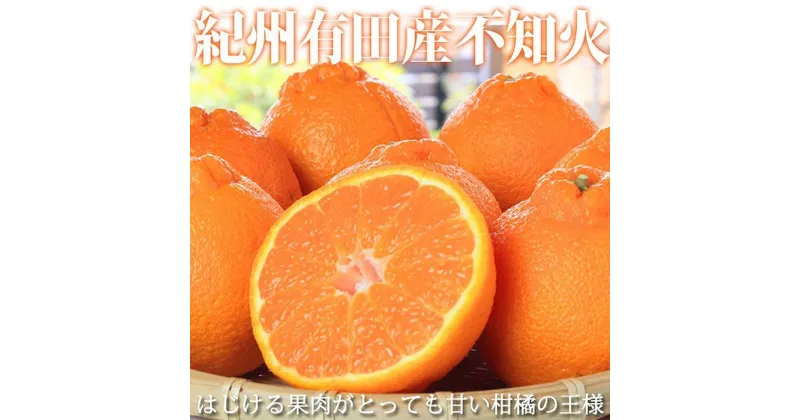 【ふるさと納税】紀州有田産不知火(しらぬひ) 約5kg【2025年2月中旬以降発送】【先行予約】【UT40】 | 和歌山県 印南町 和歌山 楽天ふるさと お取り寄せグルメ 取り寄せ グルメ 不知火 フルーツ 果物