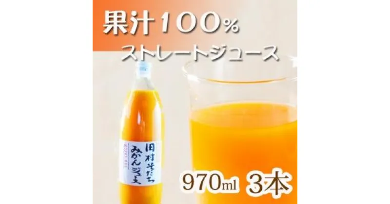 【ふるさと納税】果汁100％田村そだちみかんジュース　970ml×3本 | 和歌山県 印南町 和歌山 返礼品 支援 楽天ふるさと 納税 飲み物 みかんジュース ミカンジュース 蜜柑ジュース ジュース ソフトドリンク ドリンク 飲料 フルーツジュース ご当地 お土産 おみやげ