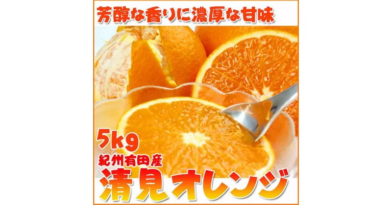 【ふるさと納税】とにかくジューシー清見オレンジ　5kg【2025年3月下旬以降発送】【先行予約】【UT53】 | 和歌山県 印南町 和歌山 返礼品 支援 楽天ふるさと 納税 お取り寄せグルメ 取り寄せ グルメ フルーツ 果物 くだもの 清見オレンジ 柑橘