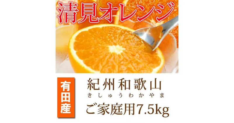 【ふるさと納税】【ご家庭用訳アリ】紀州有田産清見オレンジ　7.5kg【2025年3月下旬以降発送】【先行予約】【UT54】 | 印南町 和歌山 返礼品 楽天ふるさと 納税 お取り寄せグルメ 取り寄せ グルメ フルーツ 果物 くだもの 清見オレンジ 柑橘 柑橘類 かんきつ わけあり