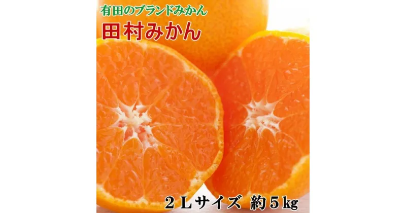 【ふるさと納税】【ブランドみかん】田村みかん約5kg（2Lサイズ・秀品）★2024年11月下旬頃より順次発送【TM106】 | 和歌山県 印南町 和歌山 返礼品 支援 楽天ふるさと 納税 取り寄せ グルメ フルーツ 果物 くだもの みかん ミカン 蜜柑 柑橘 柑橘類 かんきつ