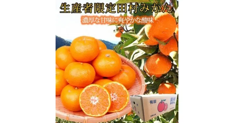 【ふるさと納税】高級ブランド田村みかん　10kg【先行予約】【UT17】 | 和歌山 返礼品 支援 支援品 楽天ふるさと 納税 お取り寄せグルメ 取り寄せ グルメ フルーツ 果物 くだもの みかん ミカン 蜜柑 柑橘 柑橘類 かんきつ かんきつ類 田村みかん 家庭用 自宅用 国産 果実