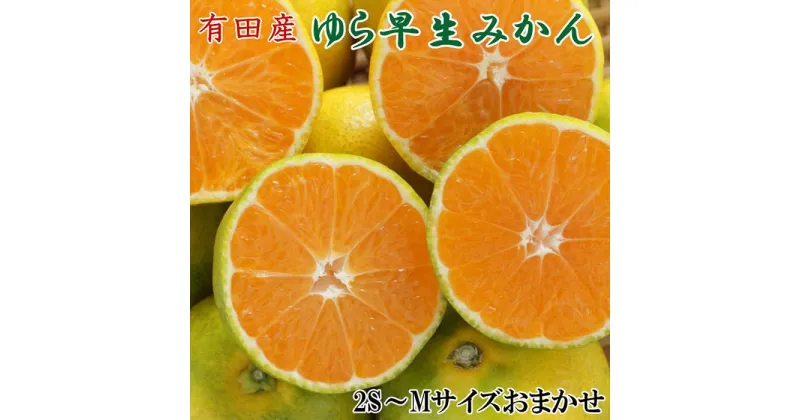 【ふるさと納税】【極早生みかんの逸品】有田産ゆら早生みかん約5kg★2024年10月中旬頃より順次発送【TM58】 | 和歌山 返礼品 楽天ふるさと お取り寄せグルメ 取り寄せ グルメ フルーツ 果物 くだもの みかん ミカン 蜜柑 極早生みかん 柑橘 柑橘類 かんきつ 早生ミカン