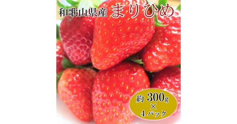 【ふるさと納税】【1月発送】和歌山県産ブランドいちご「まりひめ」約300g×4パック入り【北海道・沖縄県・離島配送不可】【印南町産】 | 和歌山県 印南町 和歌山 返礼品 支援 楽天ふるさと 納税 フルーツ 果物 くだもの 苺 いちご イチゴ お取り寄せ 取り寄せ 特産品