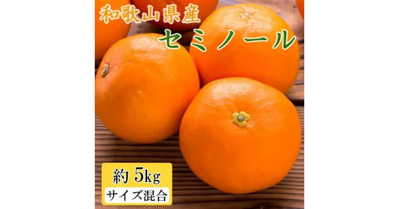 【ふるさと納税】和歌山県産セミノールオレンジ約5kg(サイズ混合　秀品)★2025年4月頃より順次発送【TM146】 | フルーツ 果物 くだもの オレンジ お取り寄せグルメ 取り寄せ グルメ お取り寄せ 特産品 自宅用 家庭用 柑橘 柑橘類 かんきつ ご当地 おいしい