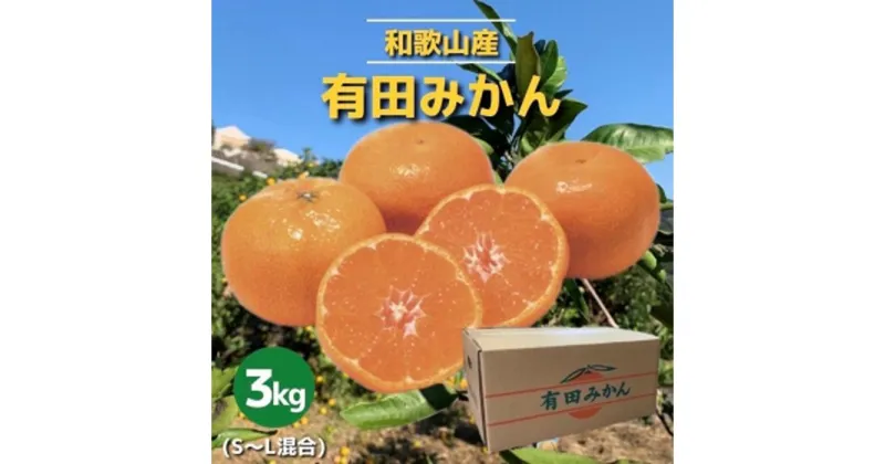 【ふるさと納税】和歌山県産　有田みかん　3kg　秀品 | 和歌山県 印南町 和歌山 返礼品 支援 楽天ふるさと 納税 フルーツ 果物 くだもの 有田ミカン みかん ミカン 蜜柑 柑橘 柑橘類 ありだみかん ありたみかん 3キロ かんきつ お取り寄せグルメ 取り寄せ グルメ 特産品 秀