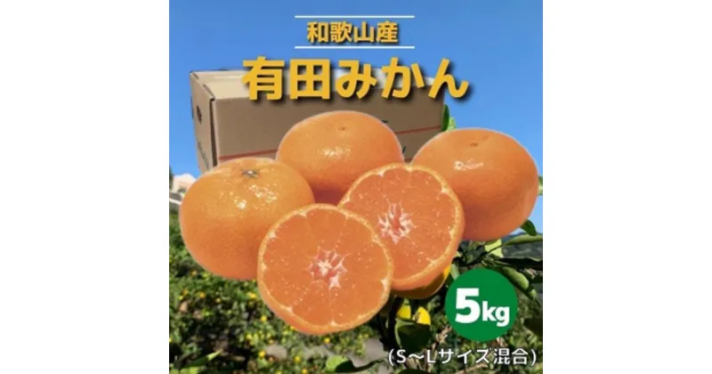 【ふるさと納税】和歌山県産　有田みかん　5kg　秀品 | 和歌山県 印南町 和歌山 返礼品 支援 楽天ふるさと 納税 フルーツ 果物 くだもの 有田ミカン みかん ミカン 蜜柑 柑橘 柑橘類 ありだみかん ありたみかん 5キロ かんきつ お取り寄せグルメ 取り寄せ グルメ 特産品 秀