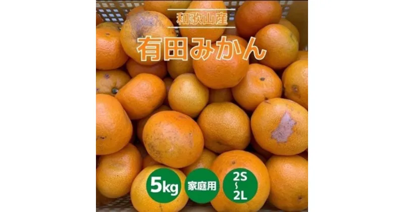 【ふるさと納税】和歌山県産　有田みかん　5kg　家庭用