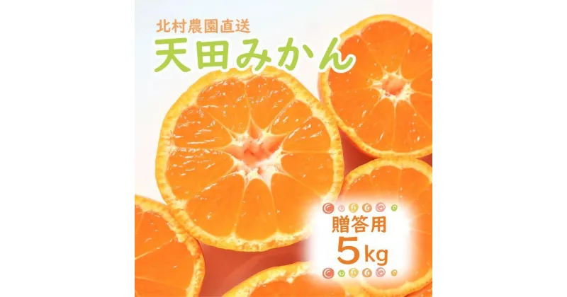 【ふるさと納税】先行予約【2024年12月上旬より発送】濃厚温州みかん贈答用5kg（和歌山天田みかん）みかんの産地和歌山　北村農園直送 | 和歌山県 印南町 和歌山 返礼品 支援 楽天ふるさと 納税 フルーツ 果物 くだもの みかん ミカン 蜜柑 柑橘 柑橘類 5キロ