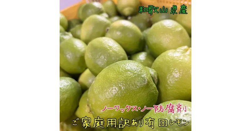 【ふるさと納税】紀州和歌山 ご家庭用 訳あり 有田レモン 約1.5kg 【農家直送】【先行予約・2024年10月上旬～2025年1月下旬発送】