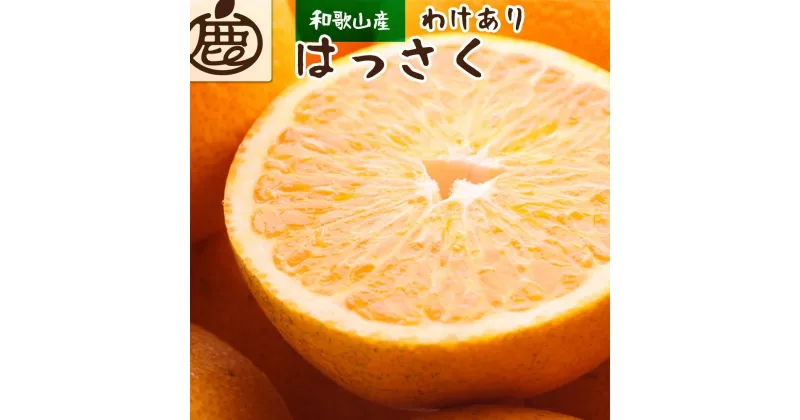 【ふるさと納税】＜1月より発送＞家庭用 はっさく6.5kg+195g（傷み補償分）【八朔みかん・ハッサク】【わけあり・訳あり】 | 八朔 訳あり 先行予約 家庭用 はっさく 6.5kg みかん 和歌山 印南町 果物 フルーツ 柑橘 お取り寄せ 傷み補償 わけあり 1月発送