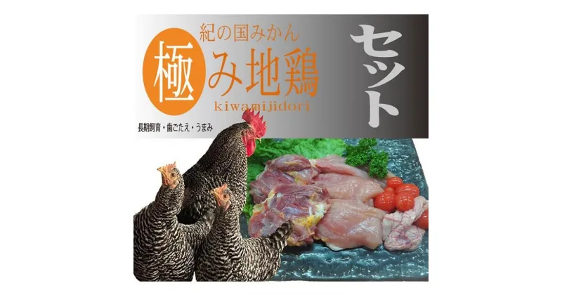 【ふるさと納税】紀の国みかん極み地鶏セット