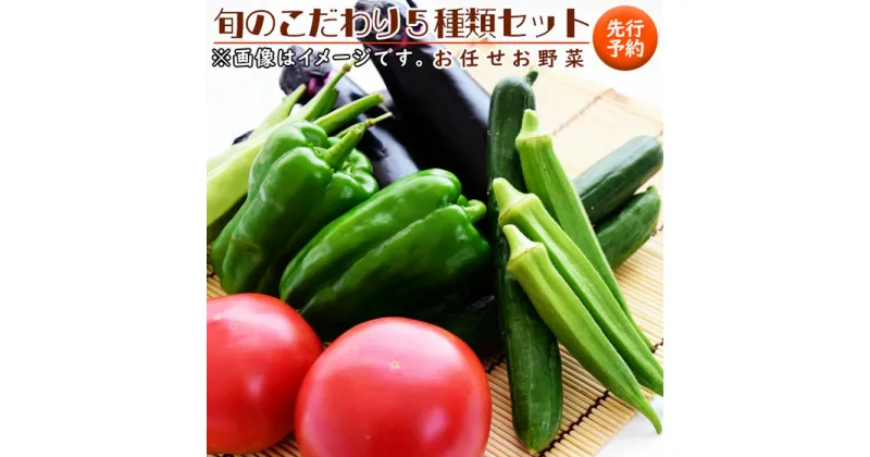 【ふるさと納税】【先行予約】旬のこだわり5種類セット | 野菜 野菜詰め合わせ 詰め合わせ 夏野菜 冬野菜 先行予約 産地直送 ふるさと納税