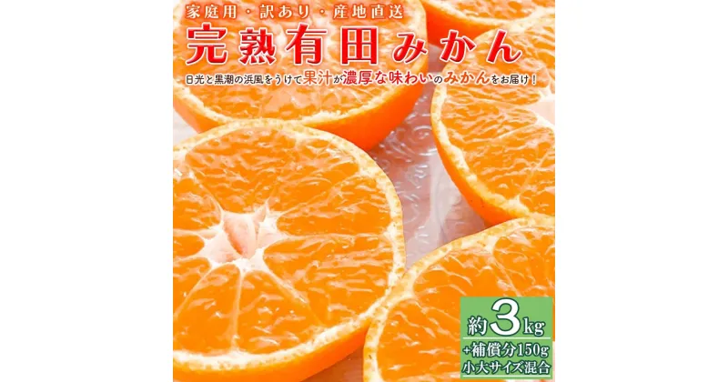 【ふるさと納税】＜11月より発送＞家庭用 完熟有田みかん3kg+150g（傷み補償分）訳あり | フルーツ 果物 くだもの 食品 人気 おすすめ 送料無料 わけあり 光センサー選果