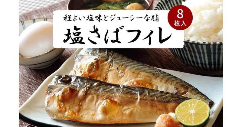 【ふるさと納税】お魚のバラエティ定期便 （塩サバ・甘口塩銀鮭切身・うなぎ蒲焼）【定期便・全3回】【魚鶴商店】