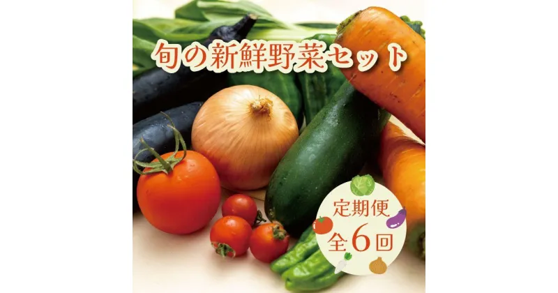 【ふるさと納税】【定期便 / 全6回：奇数月お届け】旬の新鮮野菜セットB（たっぷり13種類以上） | 野菜 やさい 食品 人気 おすすめ 送料無料